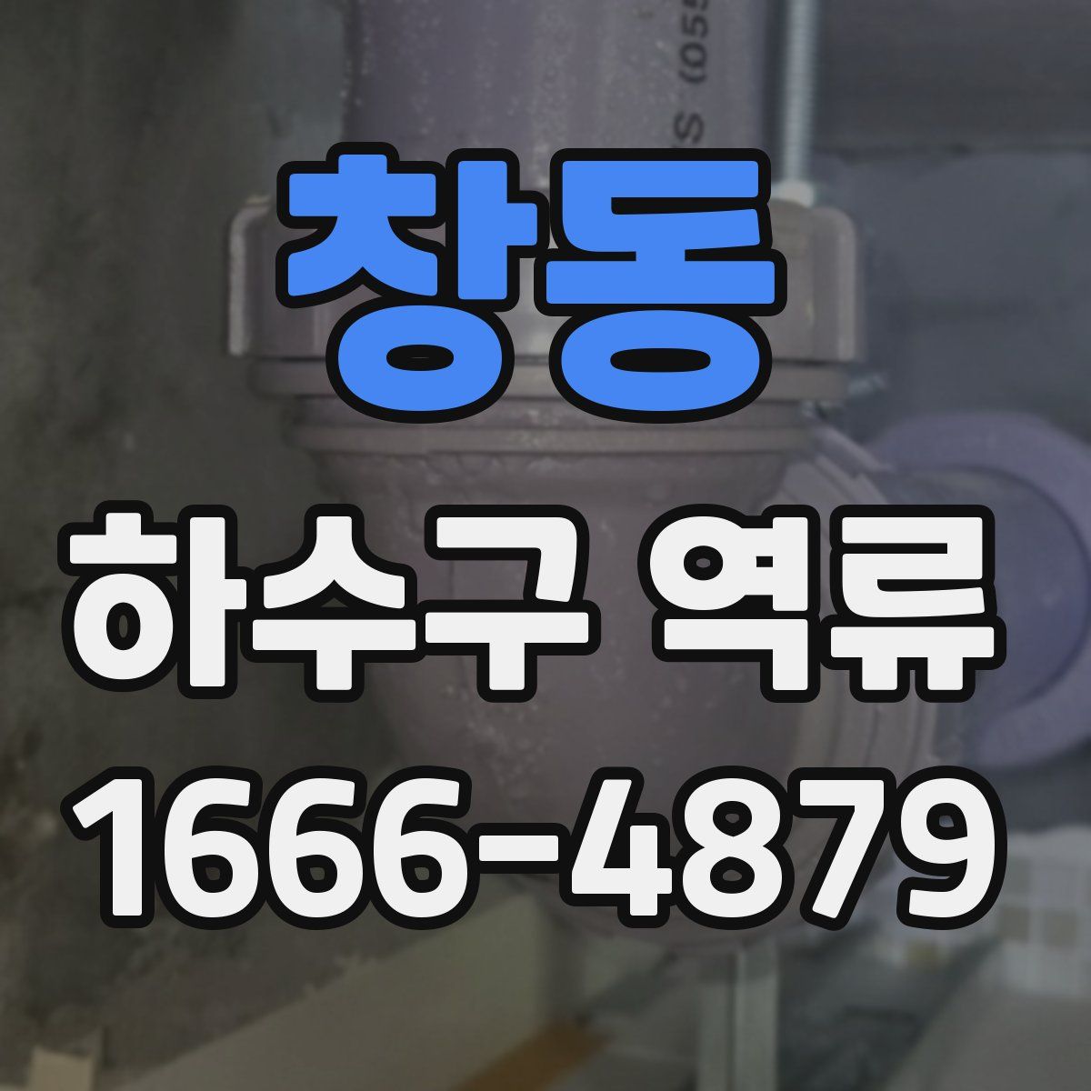 창동 하수구 역류