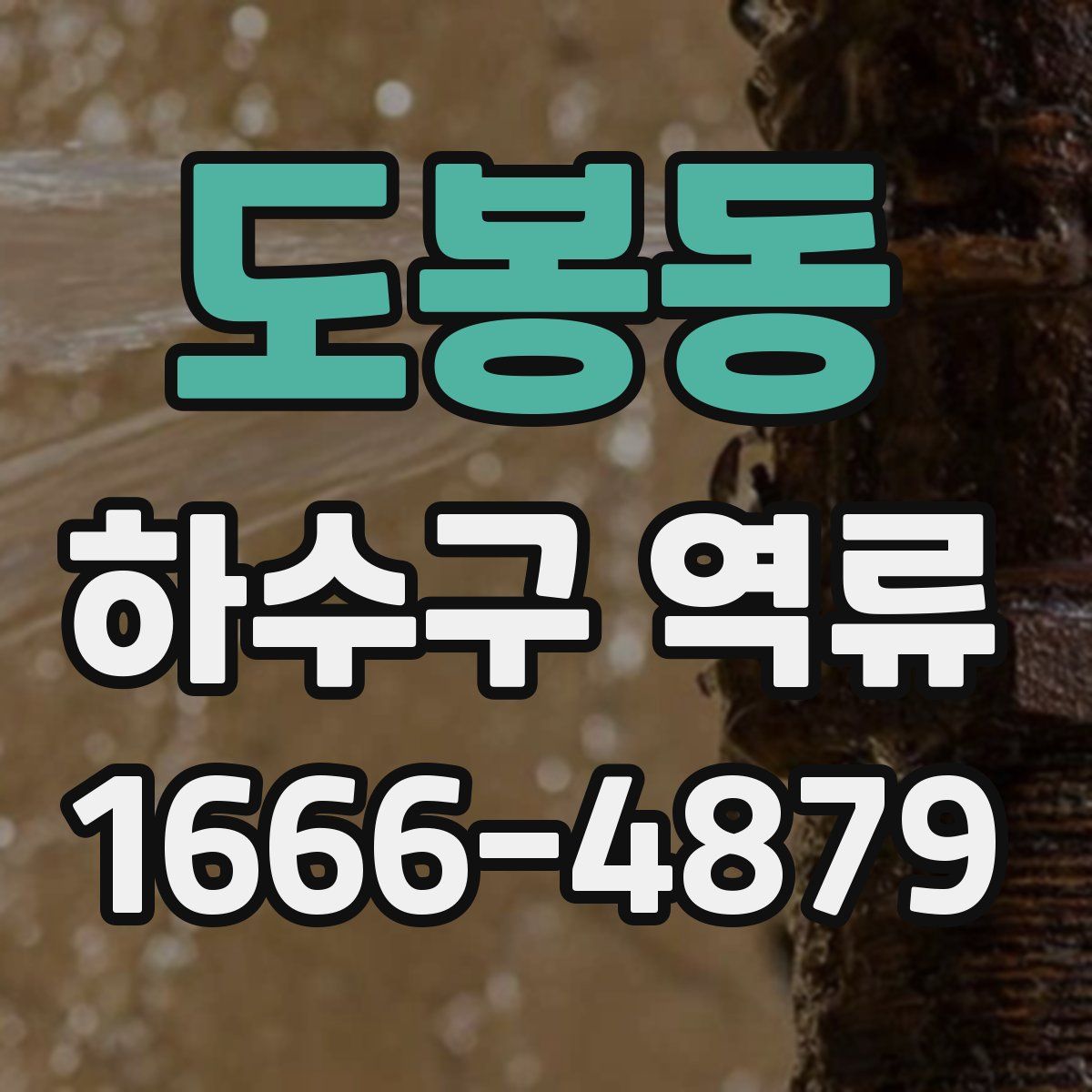 도봉동 하수구 역류