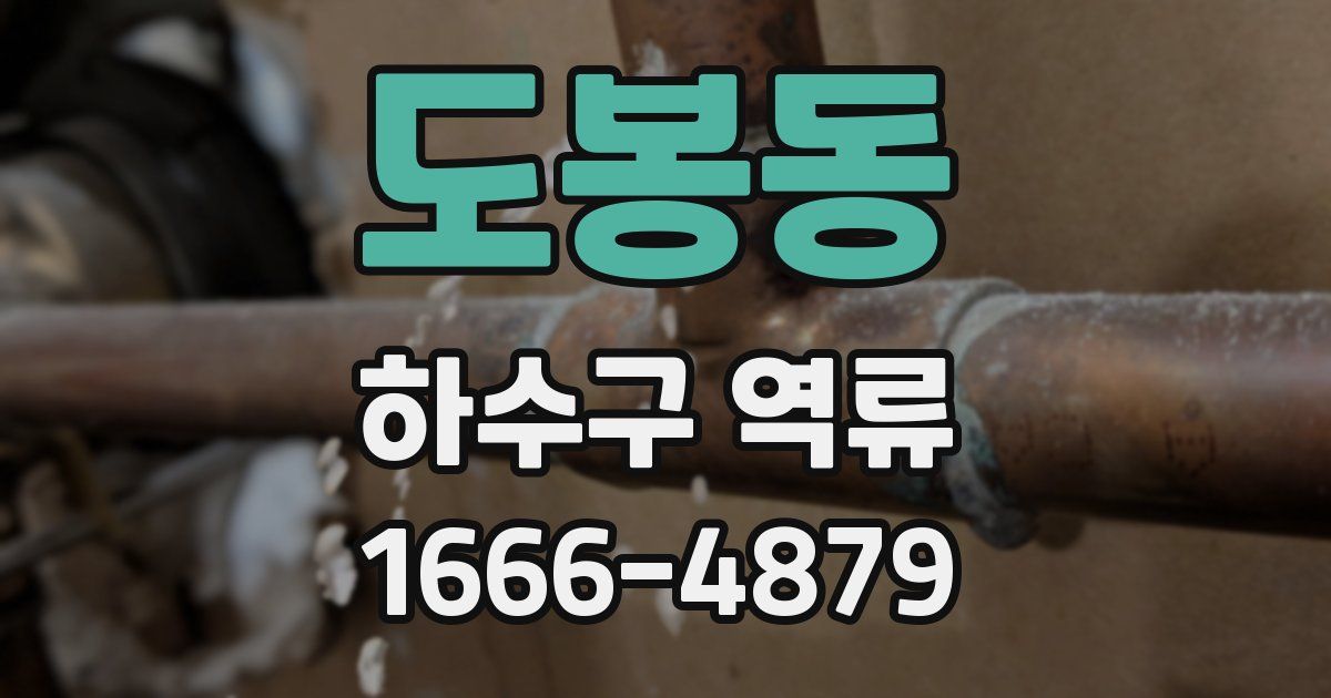 도봉동 하수구 역류