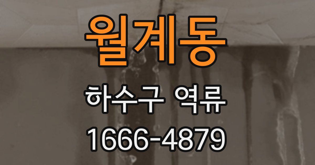 월계동 하수구 역류