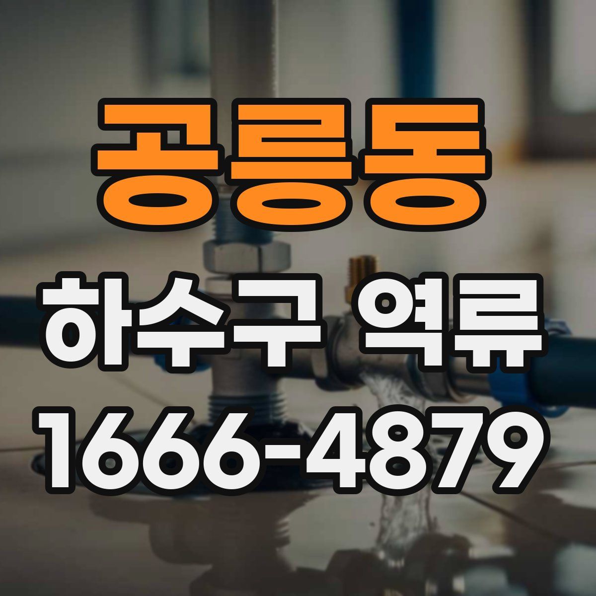 공릉동 하수구 역류