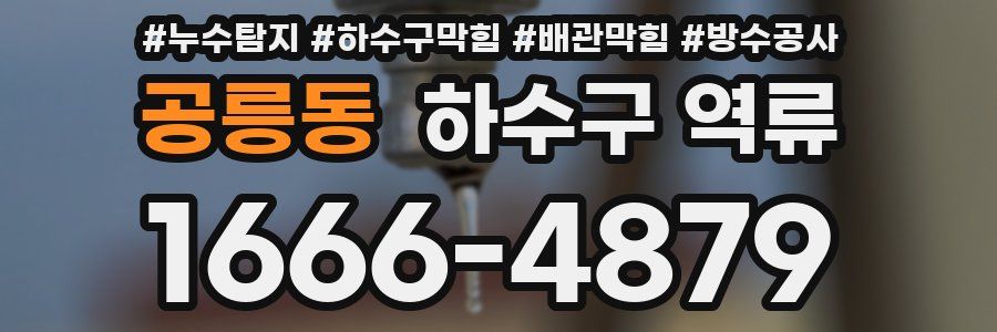 공릉동 하수구 역류