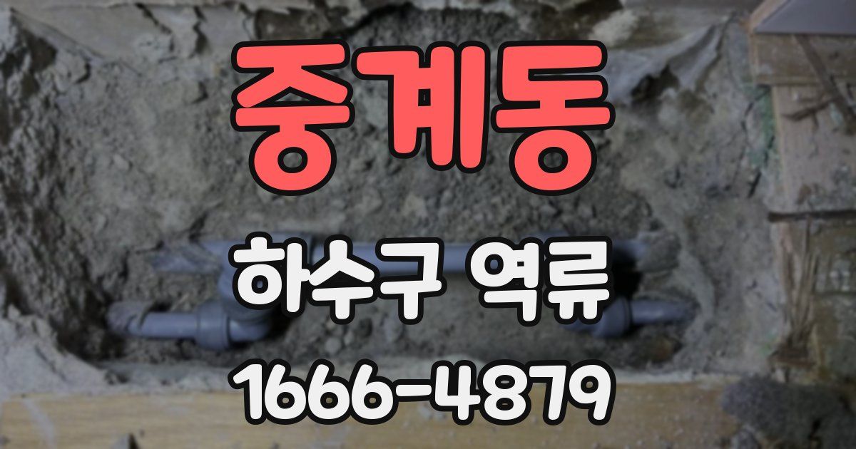 중계동 하수구 역류