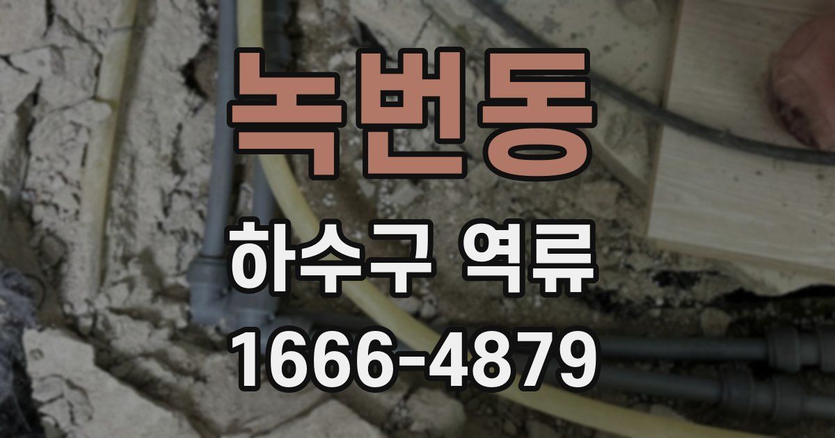 녹번동 하수구 역류