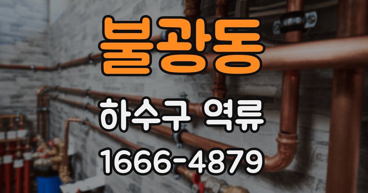 불광동 하수구 역류
