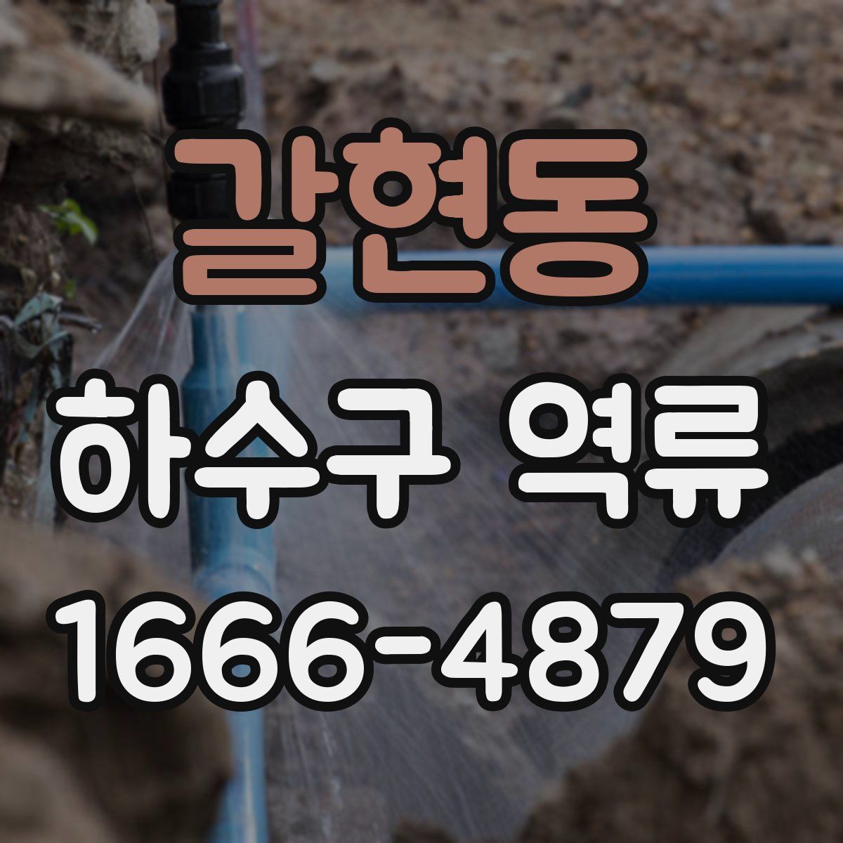 갈현동 하수구 역류