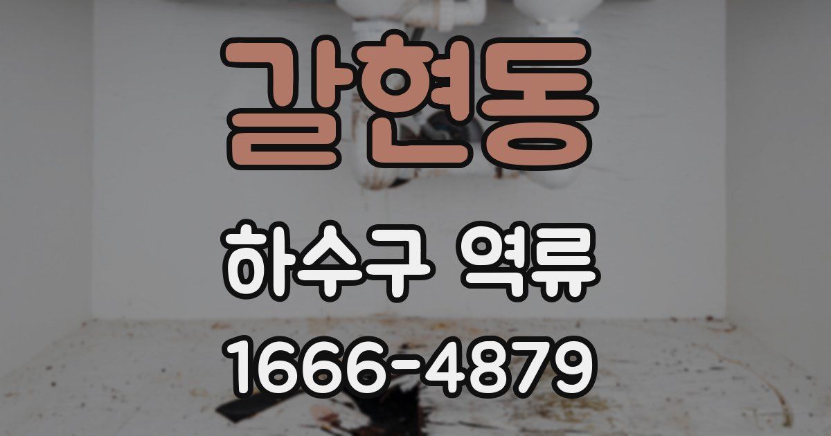 갈현동 하수구 역류