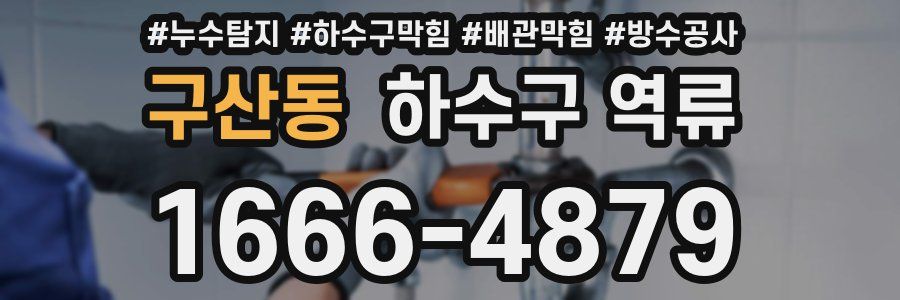 구산동 하수구 역류