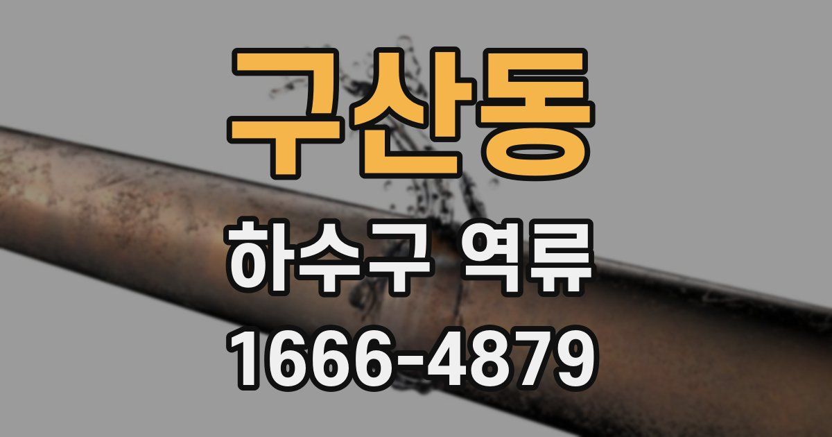 구산동 하수구 역류
