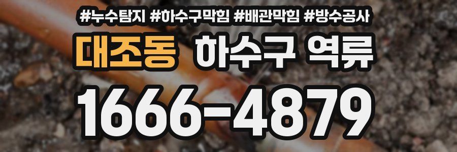 대조동 하수구 역류