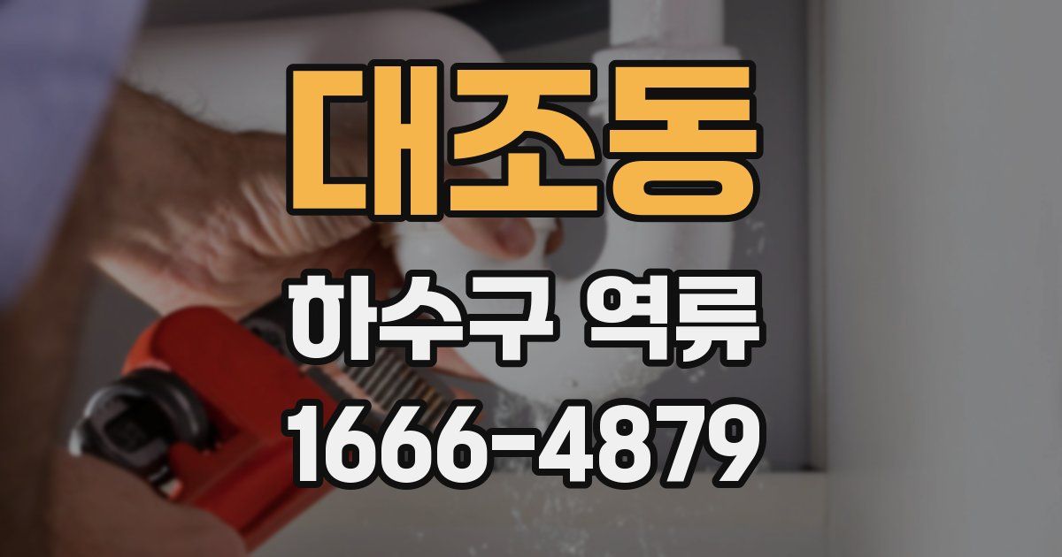 대조동 하수구 역류