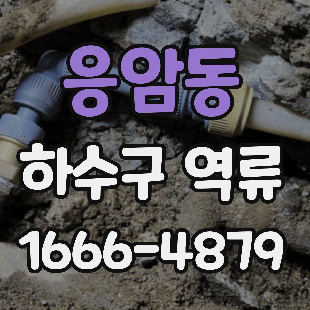 응암동 하수구 역류