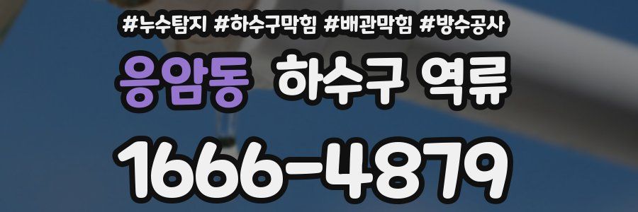 응암동 하수구 역류