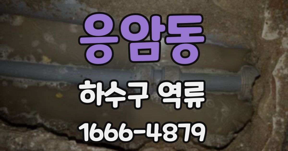 응암동 하수구 역류