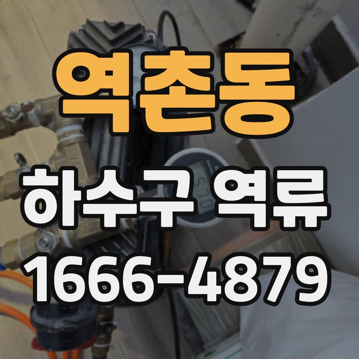 역촌동 하수구 역류