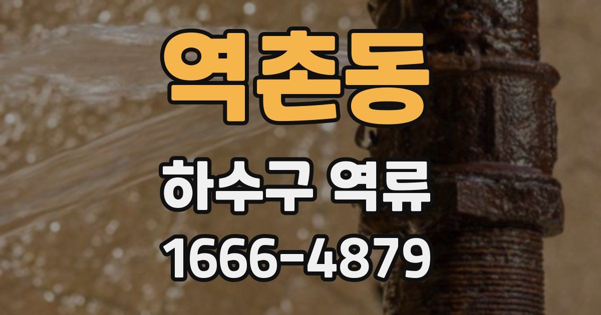 역촌동 하수구 역류