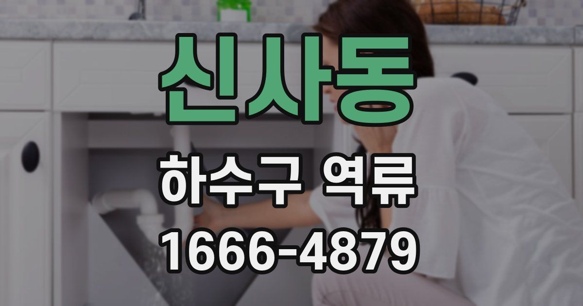 신사동 하수구 역류