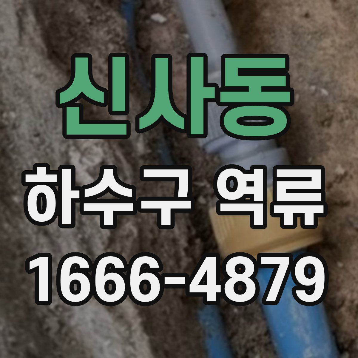 신사동 하수구 역류