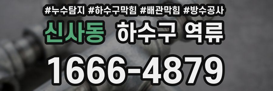 신사동 하수구 역류