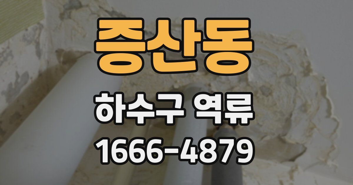 증산동 하수구 역류