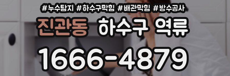 진관동 하수구 역류