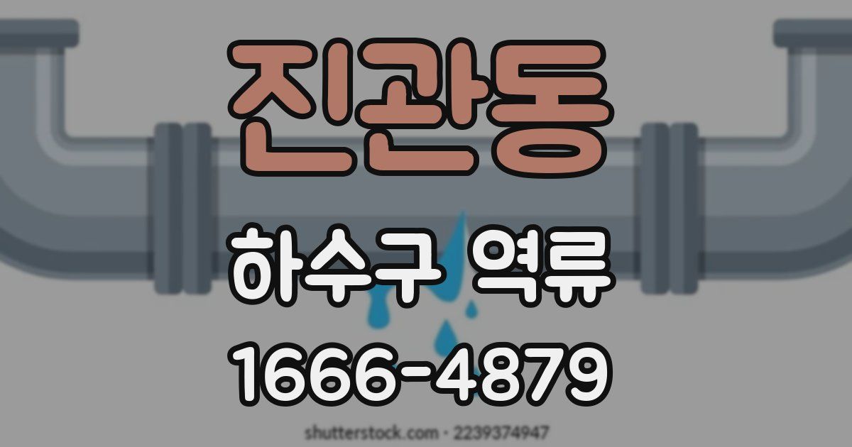 진관동 하수구 역류