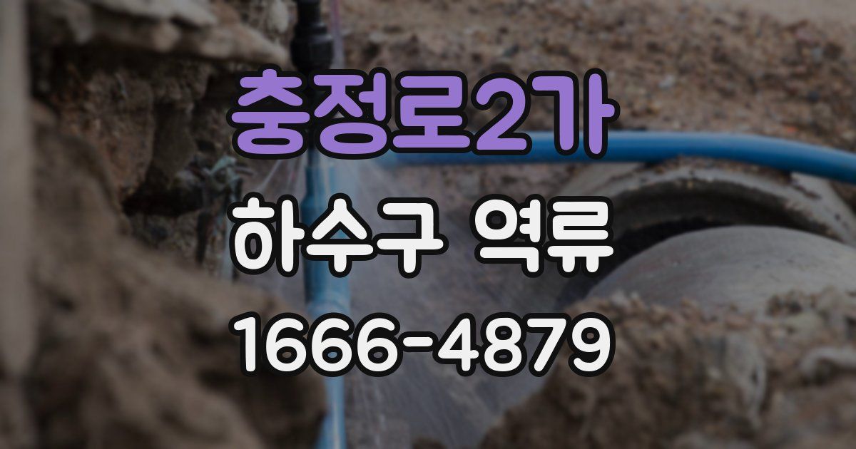 충정로2가 하수구 역류