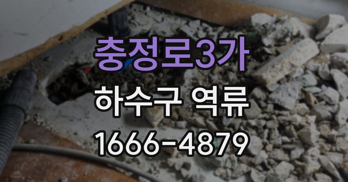충정로3가 하수구 역류