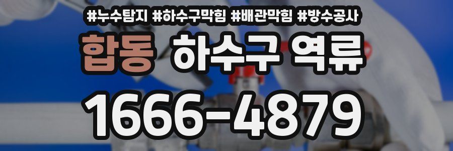 합동 하수구 역류
