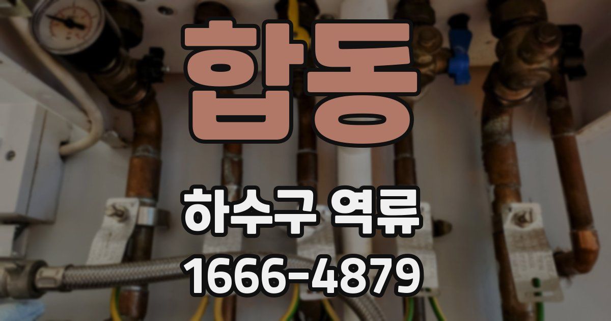 합동 하수구 역류
