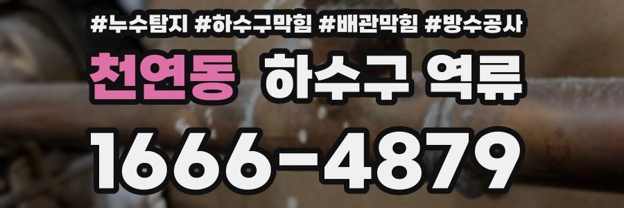 천연동 하수구 역류
