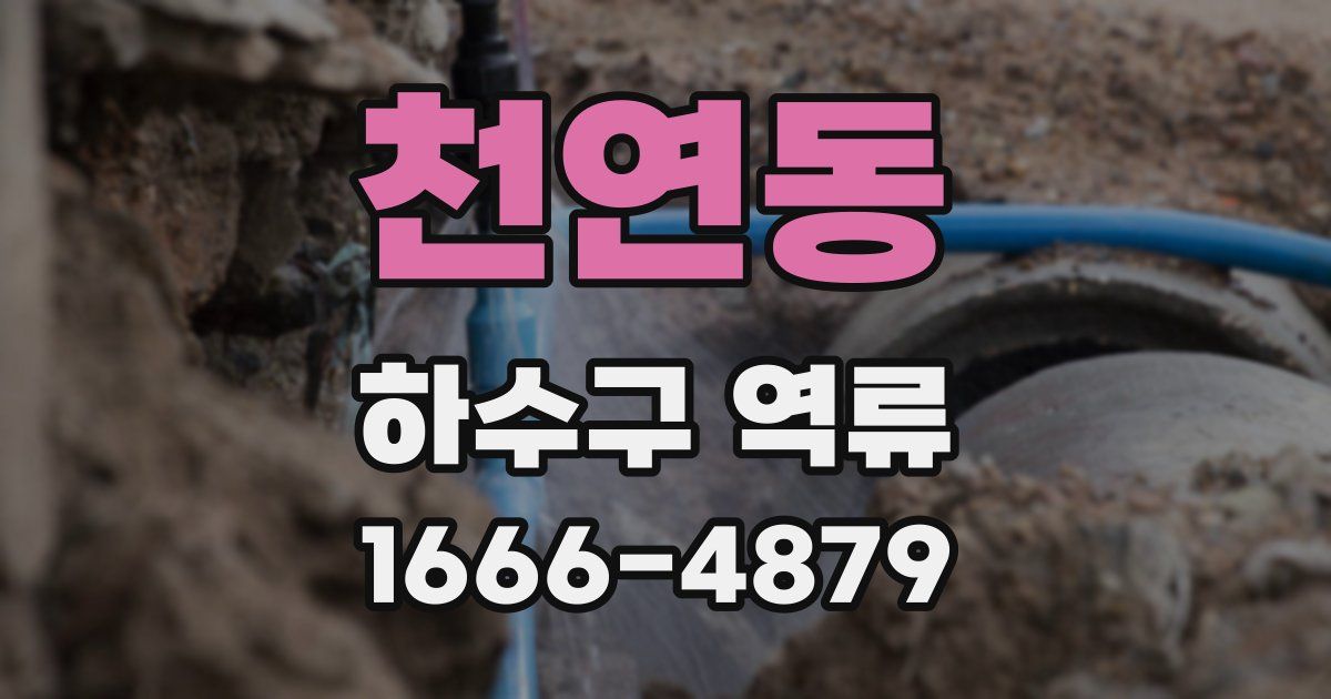 천연동 하수구 역류