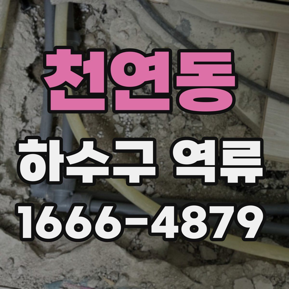 천연동 하수구 역류
