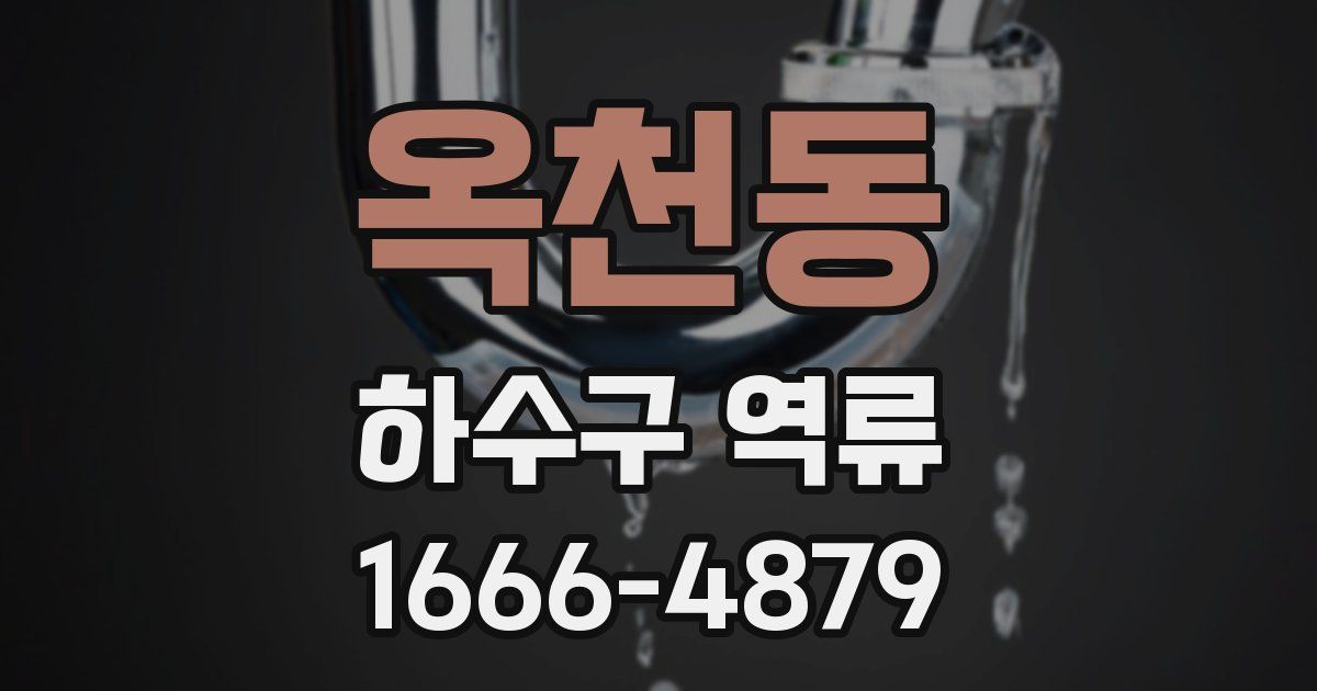 옥천동 하수구 역류