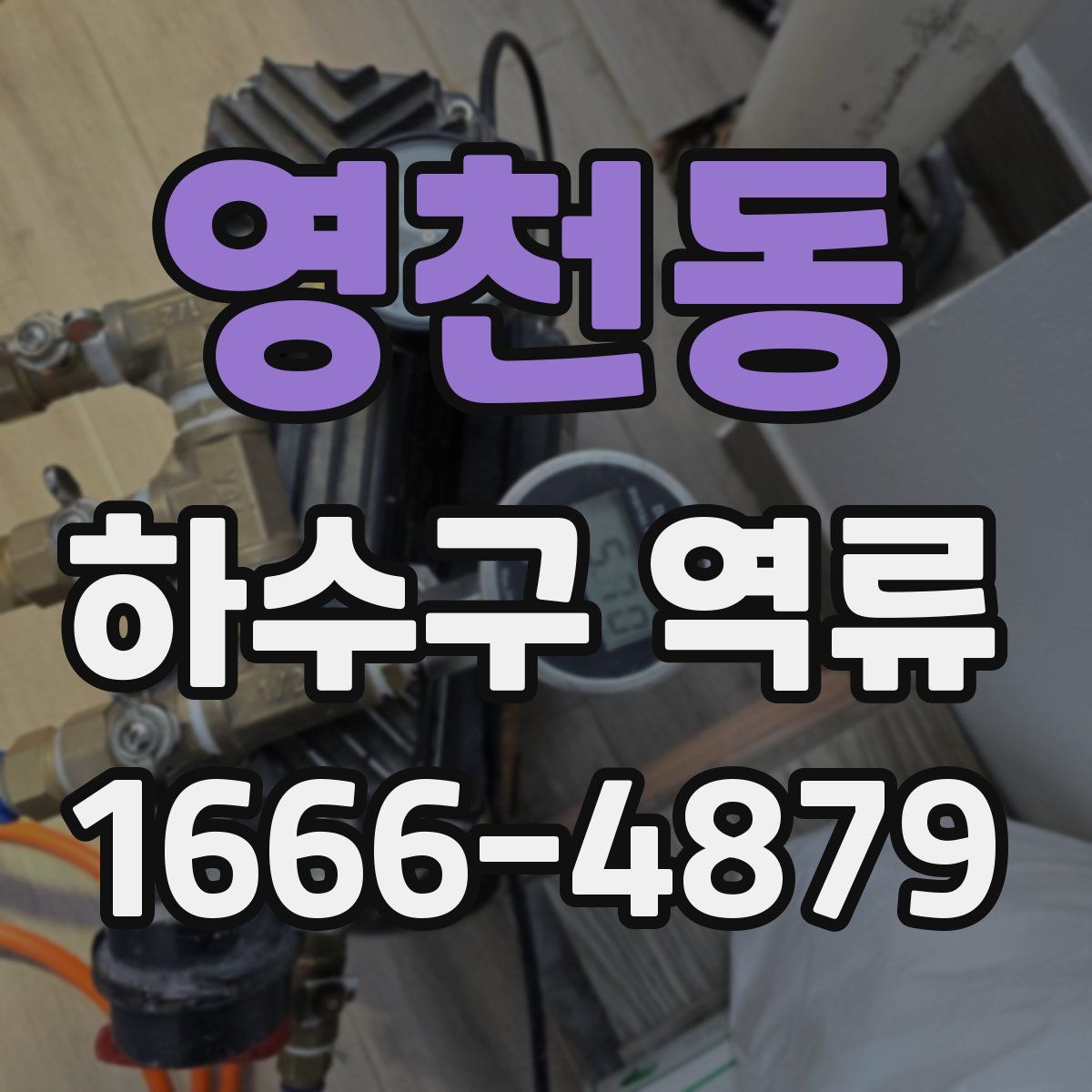 영천동 하수구 역류