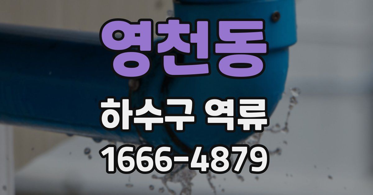 영천동 하수구 역류