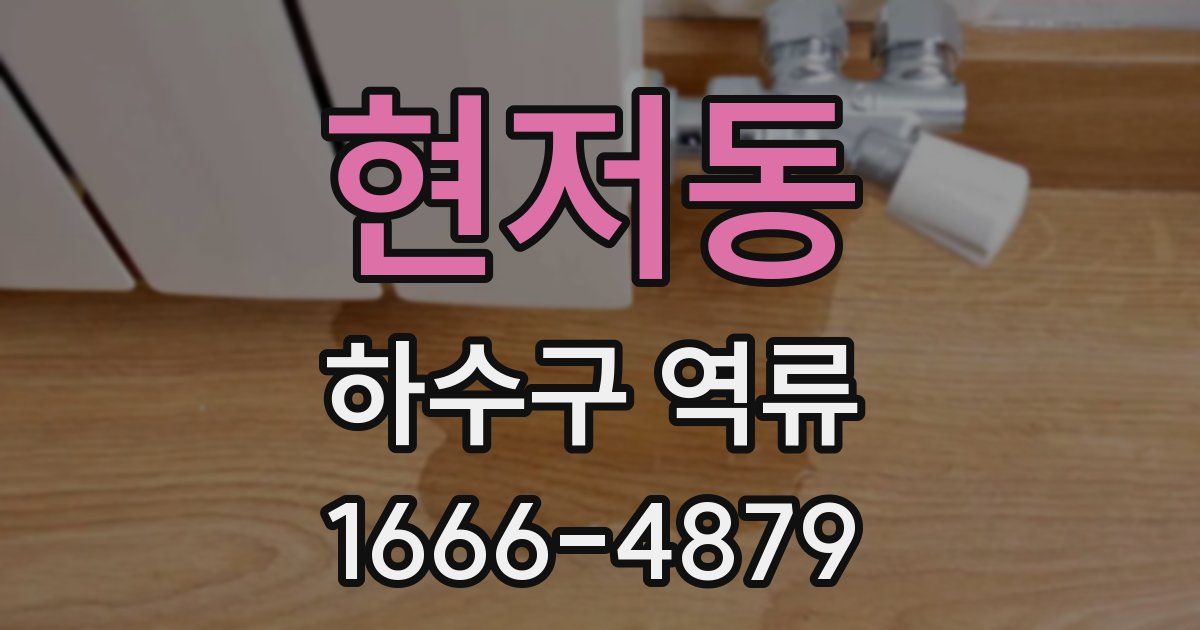 현저동 하수구 역류