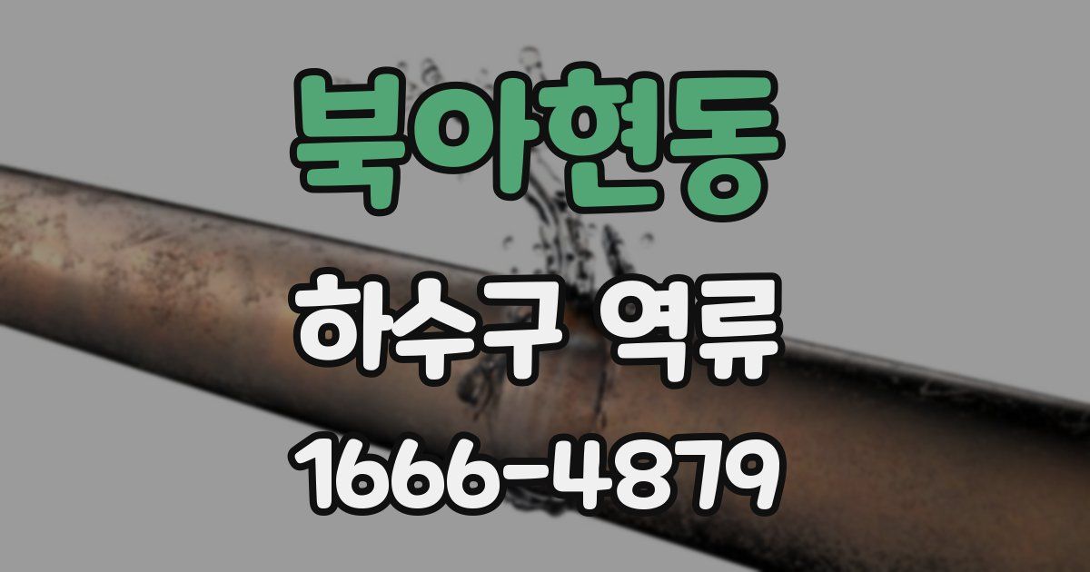 북아현동 하수구 역류