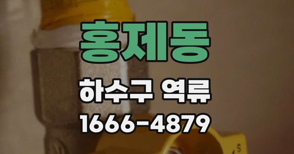 홍제동 하수구 역류