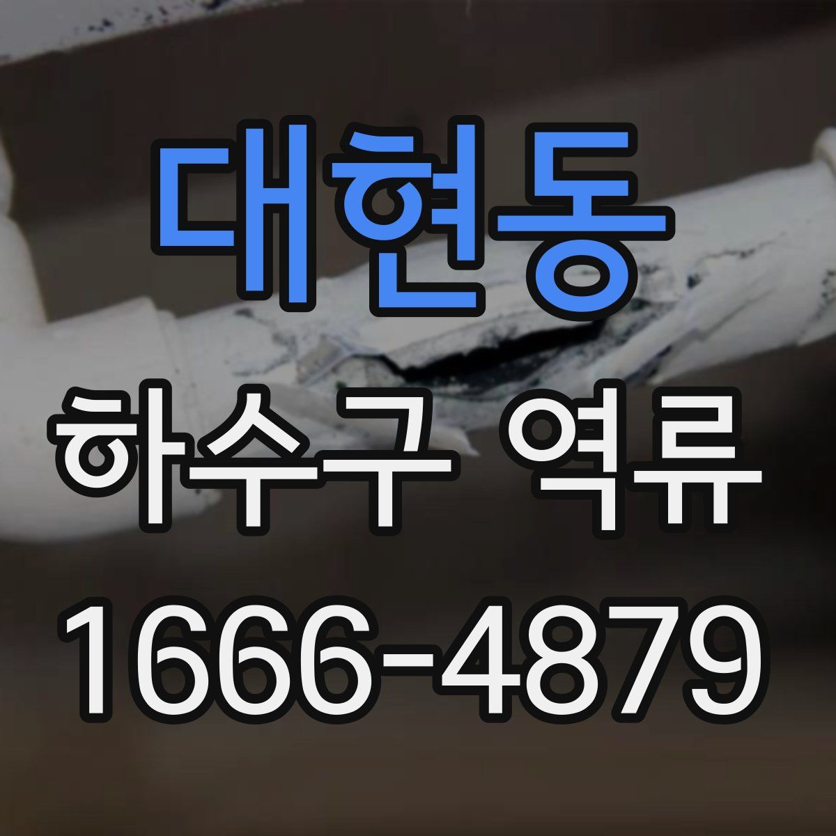 대현동 하수구 역류