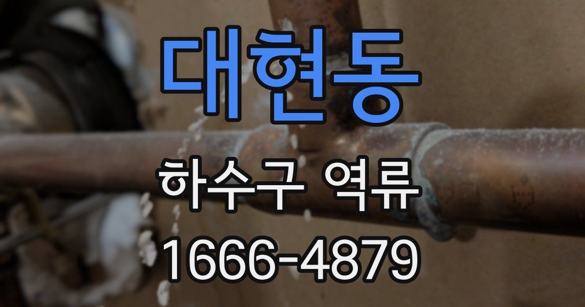 대현동 하수구 역류
