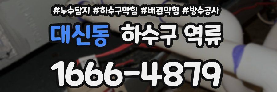 대신동 하수구 역류