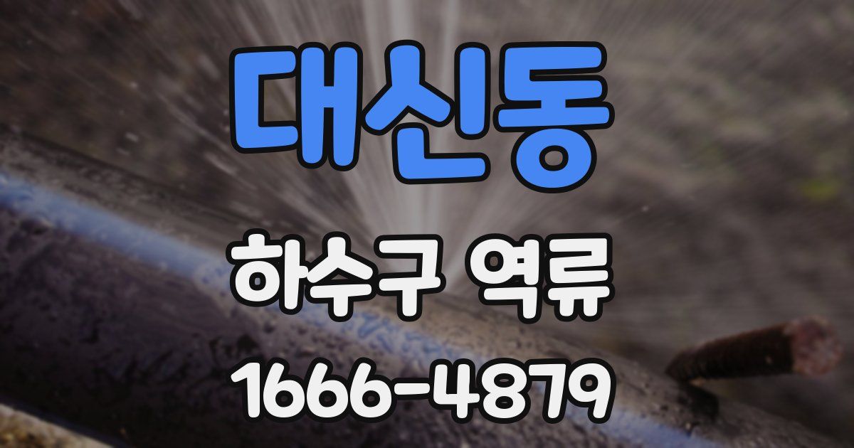 대신동 하수구 역류