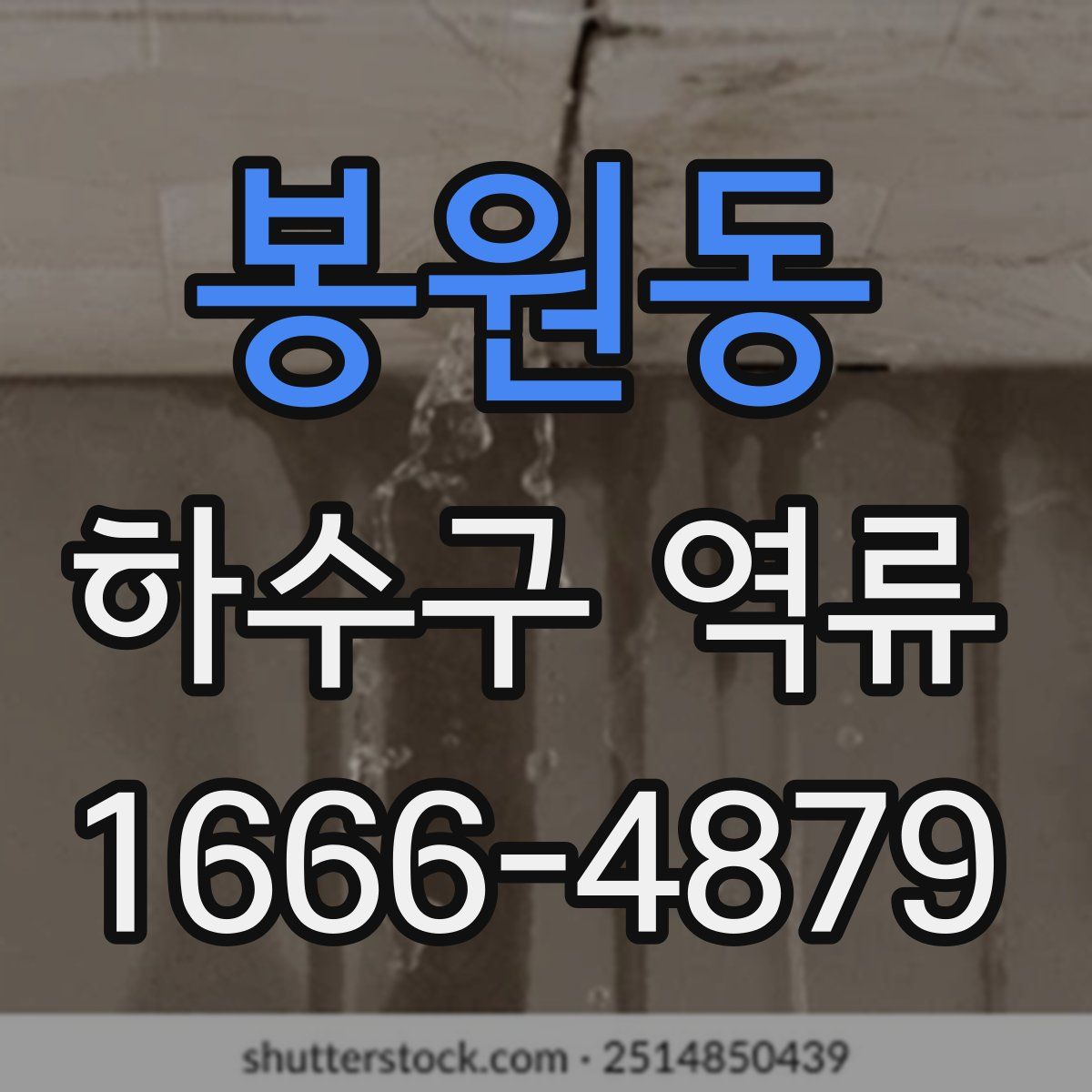봉원동 하수구 역류