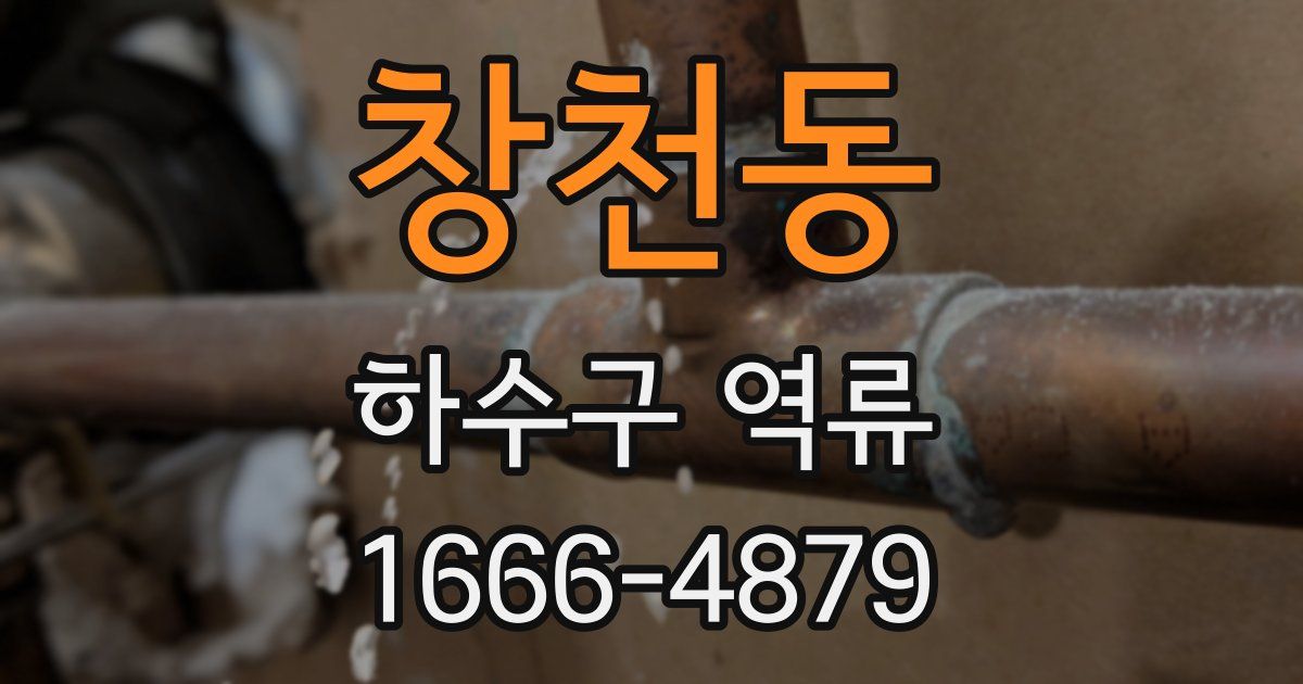 창천동 하수구 역류