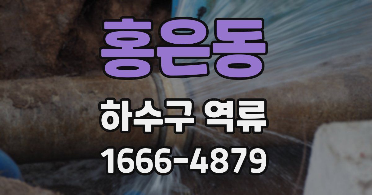 홍은동 하수구 역류