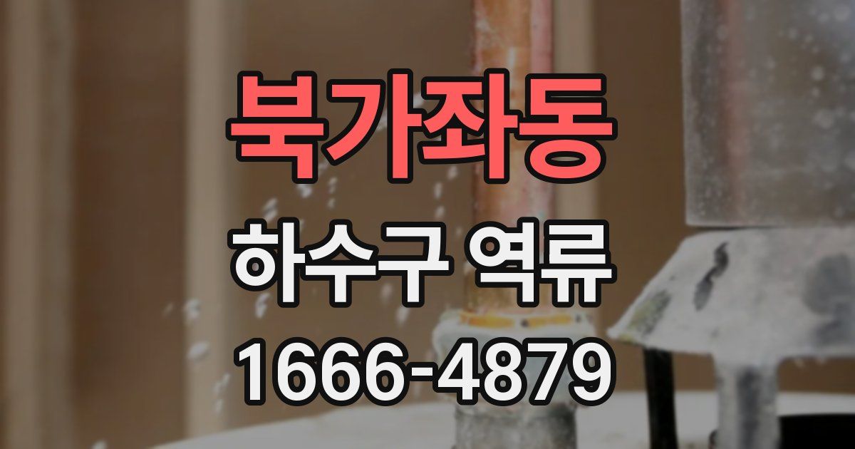 북가좌동 하수구 역류