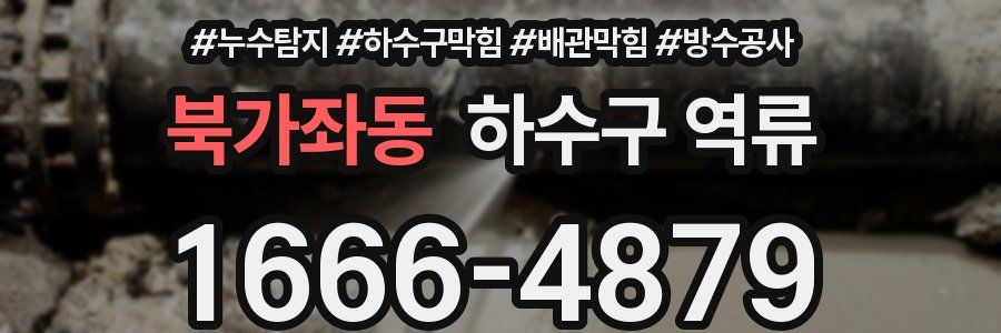 북가좌동 하수구 역류