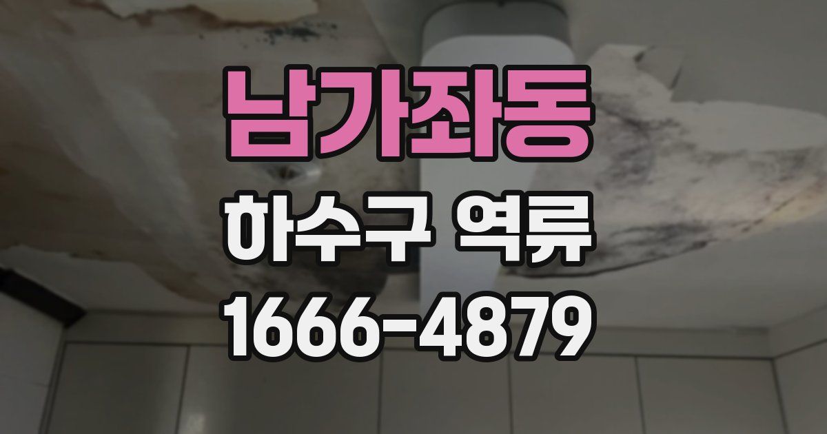 남가좌동 하수구 역류