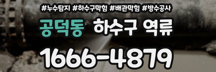 공덕동 하수구 역류